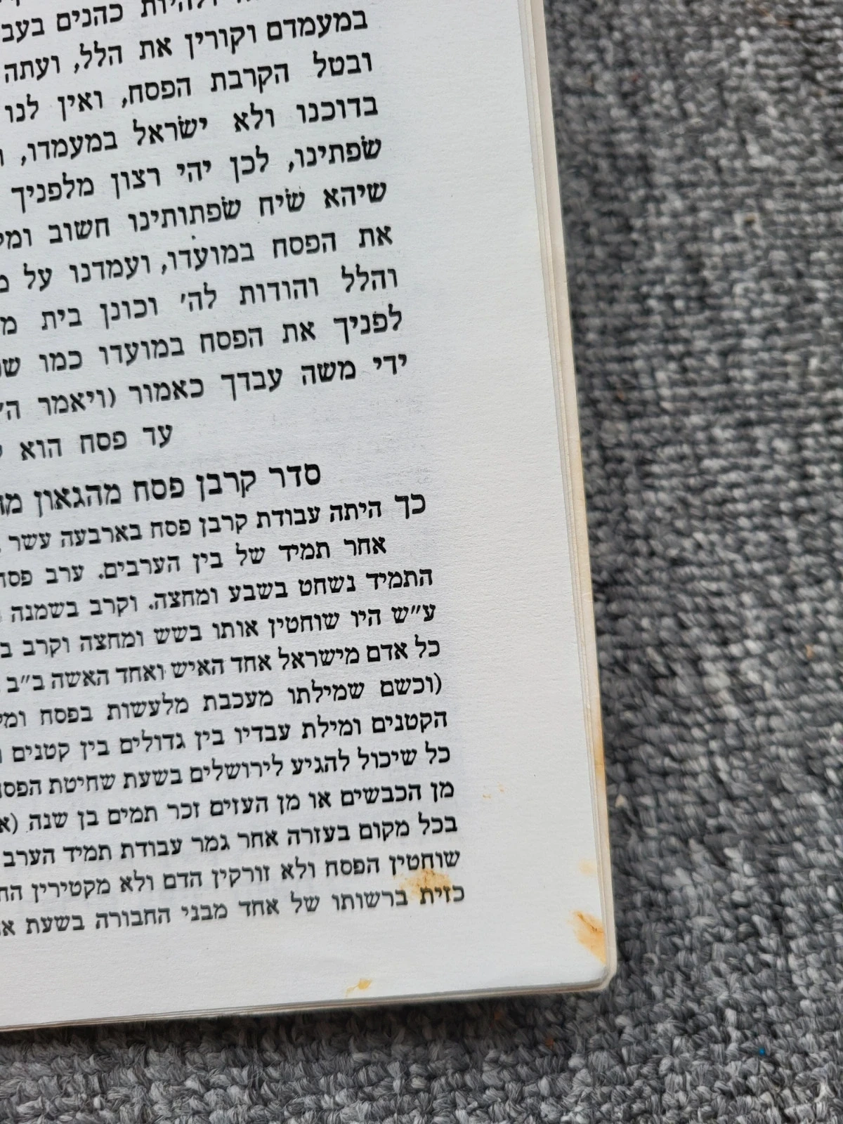 Libro de Haggada de Pésaj - Edición Nadjar - Judaica Ilustración Hebreo – photo 6